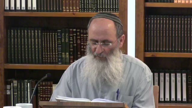 היחס בין הלימוד הכללי ללימוד המפורט
