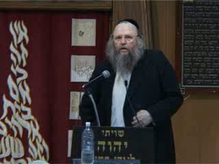 האותיות והכוחות הטמונים בשורשם