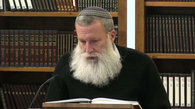 "כל האומר דוד חטא אינו אלא טועה"- חלק ט