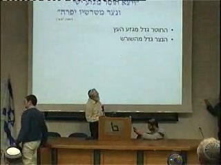 בעיית הנצרים והחוטרים - סקירה מקצועית
