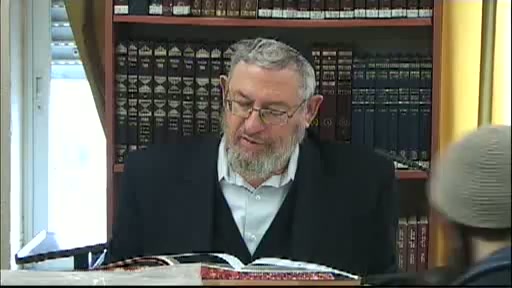 "אל תשת ידך עם רשע להיות עד חמס" - מיהו עד החמס ?