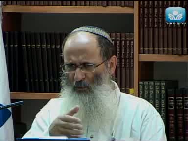 פתיחה וביאור עניינו של הספר נפש החיים ,סקירה הרקע ההיסטורי לכתיבתו וישיבת וולוז ין