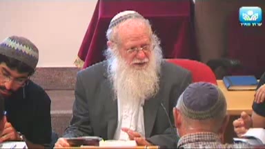 רבו של רבי חיים- הגאון מווילנא ויחסו אליו