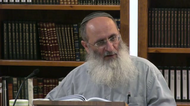 היחס בין מכות מצרים למכות שעל הים
