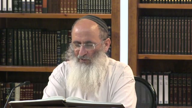 דניאל חנניה מישאל ועזריה - חלק ג