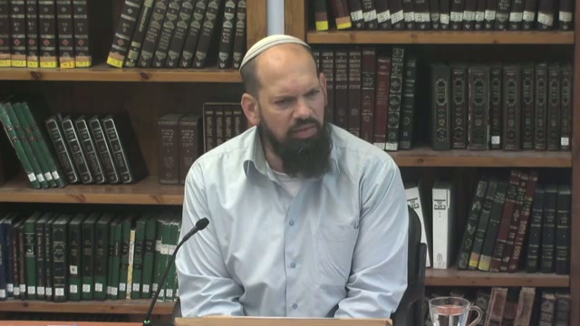 הולך בתום ילך בטח - על שיווי משקל, תכנון והפתעה בצעדי האדם בעולם הזה
