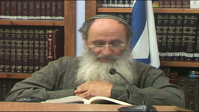 "ויראו את אלוהי ישראל" - הכיצד ?
