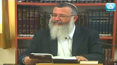 סוכה - משנה הלכה למעשה