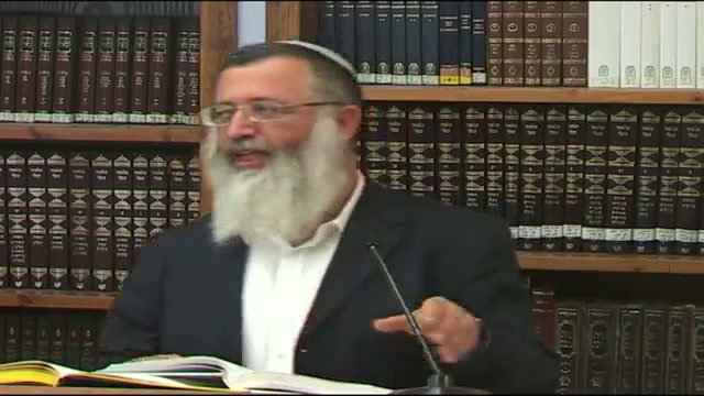 אחדות המחלוקות בתורת הרב