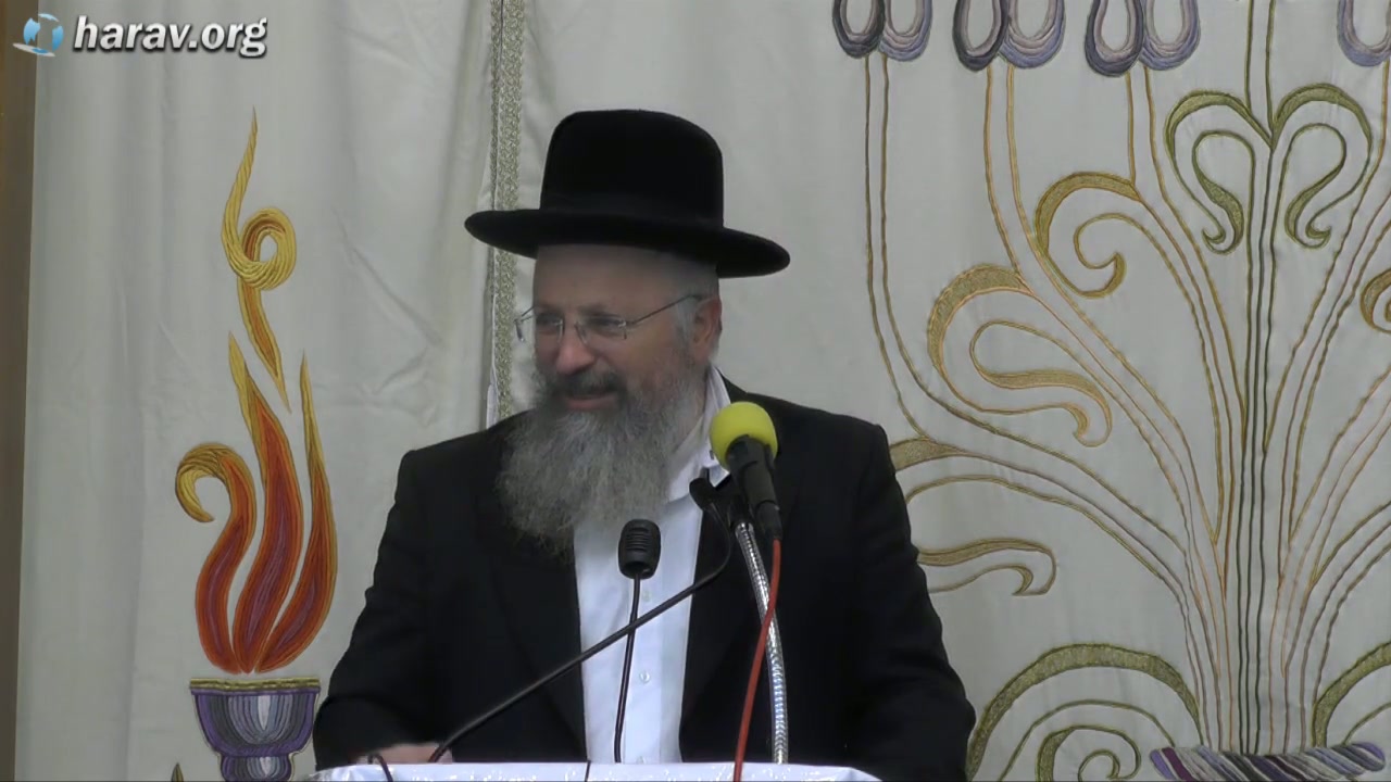 מצוה יקרה של לימוד תורה - כיצד לקיימה על הצד הטוב ביותר ?