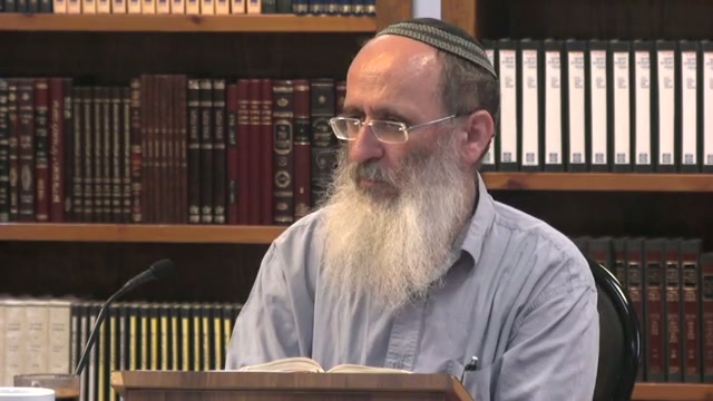 השורות הריקות שבין החומשים סקירה של חטא המרגלים