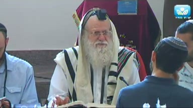 מה משמעות הבדיקה של הארץ "היש בה עץ אם אין" ?