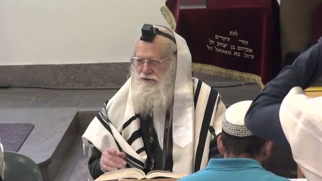 חלומות יוסף- מבט בפרספקטיבה רחבה