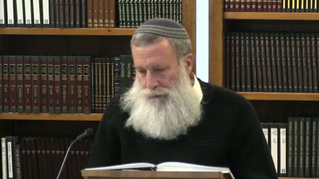"כל האומר דוד חטא אינו אלא טועה"- חלק י