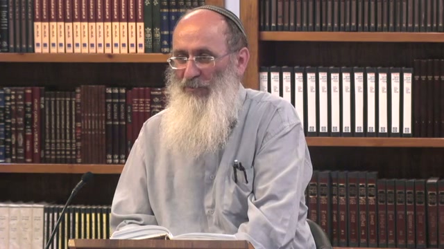 קדושת הבכור