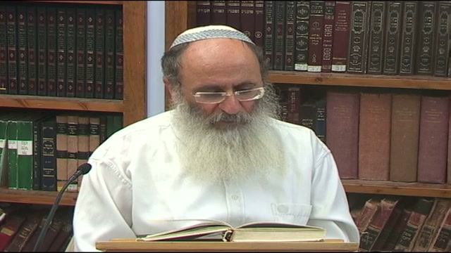 הבנת התורה בצורה נכונה היא באופן שלא יפגע בכללות